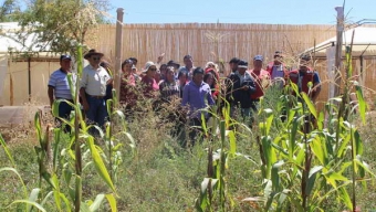 Agricultores de la Ligua Conocieron Experiencias de Producción en la Región de Antofagasta