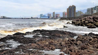 Experto Explicó Cambio de Coloración en Aguas Costeras de Antofagasta