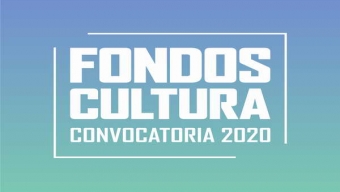 Charlas Informativas Por Convocatoria 2020 de Fondos Cultura Llegarán a Las 9 Comunas de la Región