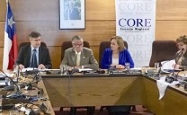 Senadora Carolina Goic al CORE: “Sin Recursos Permanentes la Ley Nacional Del Cáncer Será Letra Muerta”