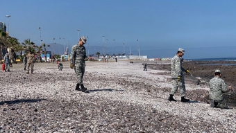 Fuerzas Armadas se Reunieron Para Limpiar Borde Costero en Antofagasta