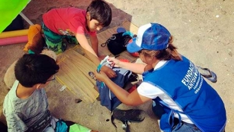 Antofa Segura Entregará Pulseras de Identificación en Distintas Playas de la Comuna