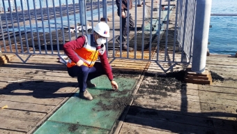 Realizaron Limpieza de Muelle Histórico de Antofagasta Tras Quemas Sobre la Estructura