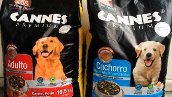 Tras Denuncias de Muerte de Perros: SERNAC Investiga Problemas en Alimento de Mascotas