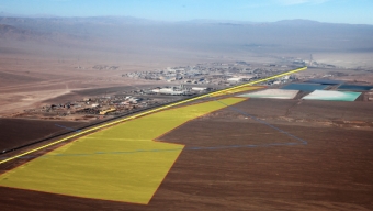 Continúan Avances Del Proyecto “Zona de Desarrollo Logístico Puerto Antofagasta” en Terrenos Cedidos por el Ministerio de Bienes Nacionales