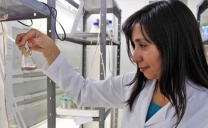 Científicos de la U. de Antofagasta Investigan Nueva Herramienta Diagnóstica Para Detectar Virus Respiratorios