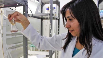 Científicos de la U. de Antofagasta Investigan Nueva Herramienta Diagnóstica Para Detectar Virus Respiratorios