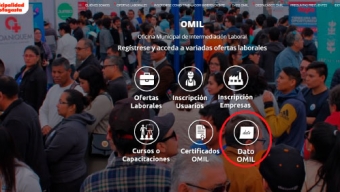 Dato Omil: La Plataforma Que Permite Encontrar y Ofrecer Oficios en Antofagasta