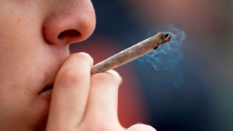 Expertos Alertan Por Alza de Consumo de Marihuana en Escolares