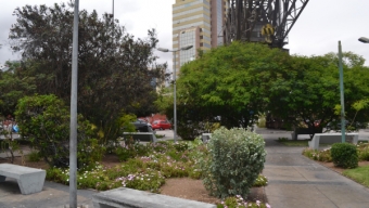 Puerto Antofagasta Continúa Alimentando su Pulmón Verde Con el Apoyo de CONAF Para su Área de Transición Puerto-Ciudad