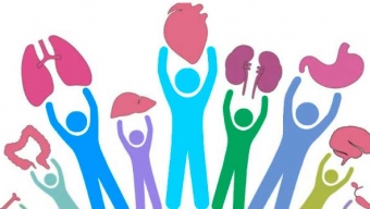 Donación de Órganos Entre “Parientes Políticos”: Proyecto Quedó Listo Para Ser Promulgado Como Ley