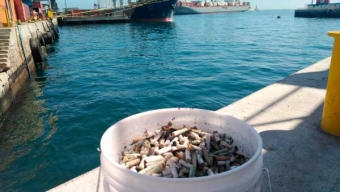 ATI y Fundación Desierto Azul Reciclaron 40 Kilos de Colillas de Cigarro Del Borde Costero de Antofagasta