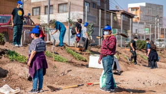 Más de 300 Árboles Han Sido Plantados Gracias a la Exitosa Campaña “Un Niño, un Árbol” en Antofagasta