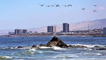 Inquieta el Cuidado y Preservación de la Biodiversidad en la Costa de Antofagasta