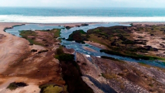 Desembocadura Del Río Loa es Declarada Santuario de la Naturaleza