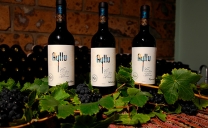 Tras Triunfar en Mundial Europeo, Vinos Ayllu se Prepara Para Exportar al Mercado Estadounidense