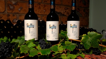 Tras Triunfar en Mundial Europeo, Vinos Ayllu se Prepara Para Exportar al Mercado Estadounidense
