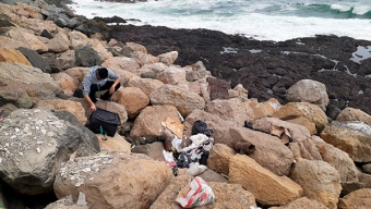 Maletas, Ropa y Frazadas: Los Nuevos Desechos Que se Acumulan en Playas de Antofagasta