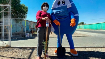 Aguas Antofagasta Junto a Vecinos Mejoraron Áreas Verdes de la Población Sol y Cobre de Calama