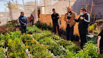 Prueban Tratamiento de Conservación de Flora Costera de Paposo y Taltal en Riesgo de Extinción
