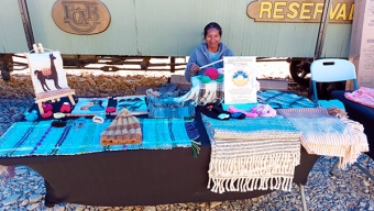 Artesanas Locales Promueven Tradiciones Culturales en Paseo Estación Calama