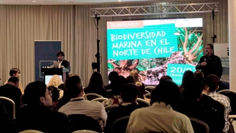 Académicos Compartieron Experiencias Para un Desarrollo Sostenible Del Borde Costero