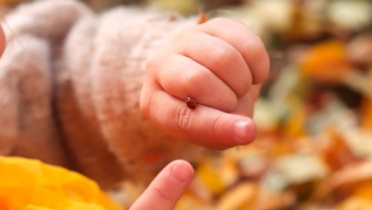 Nuevas Residencias Para la Ñiñez y Adolescencia en la Región