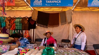 Cultoras y Cultores Indígenas de Toda la Zona Norte Participan Del XVI Encuentro en San Pedro de Atacama