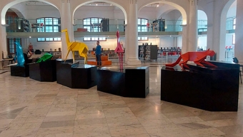 “Origami Nativo”: Esculturas de Animales de Nuestra Fauna Nativa se Instalarán en la Biblioteca Regional de Antofagasta
