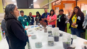 Guardadores de Semillas de Comunidades Atacameñas Conocen Técnicas de Resguardo y Propagación de Especies de INIA