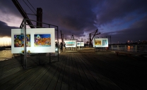 Taller de Arte de Teletón de Antofagasta Visibiliza la Identidad Regional en Una Exposición de Pinturas