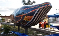 Mejillones Presenta Nueva Ballena de Mosaico Que Embellecerá la Costa de la Ciudad Puerto