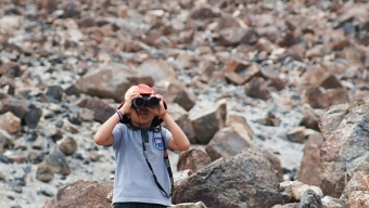 Forjadores Ambientales Disfrutaron Con Fauna Nativa