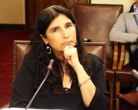 Diputada Ahumada Solicita Que Gobierno Incorpore Sectores a la Infraestructura Crítica de la Región