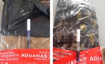 Aduana de Antofagasta Decomisa Arepas, Marihuana, Hojas de Coca y Cigarrillos en Sector de “La Negra”
