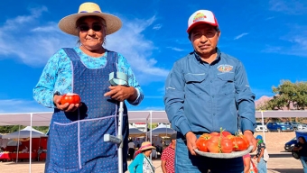 Más de 3 Mil Personas Disfrutaron de la Fiesta Costumbrista Del Tomate de Camar