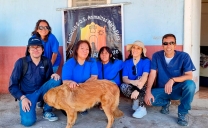 Más de 120 Animales Comunitarios Fueron Esterilizados en María Elena
