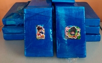 Aduana de Antofagasta Descubre a Pasajera Con 17 Ladrillos de Cocaína Marcados Con Logos de “Dragon Ball”