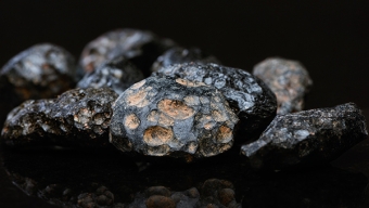 UCN Acoge Exhibición “Meteoritos, Patrimonio de la Humanidad” en Antofagasta