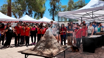 Turistas y Escolares Disfrutaron de Las “Curiosidades” de Los Volcanes Activos en la Región de Antofagasta