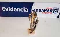 Aduana Descubre Yacaré Disecado en Equipaje de Viajero en Ollagüe