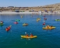 Conmemoran el Día Mundial de las Ballenas Con Masiva Travesía Náutica en Mejillones