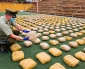 Incautaciones de Droga se Disparan y Duplican Cifra de 2024 en Solo Cuatro Meses