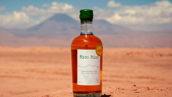 Licor de Rica-Rica Del Desierto de Atacama Gana Medalla Internacional en Londres