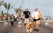 ¡A Mover la Cola! Vuelve Corrida Familiar Perruna de Creo Antofagasta