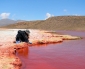 Científicos de la UA Posicionaron la Ecología Microbiana Del Desierto de Atacama en Congreso Latinoamericano