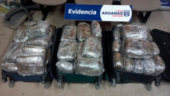 Tres Ciudadanas Colombianas Detenidas Con 59 Kilos de Marihuana en Control de La Negra