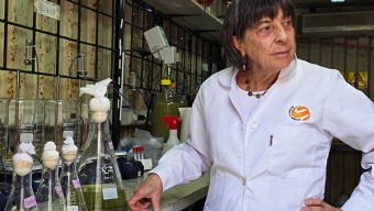 Cecilia Demergasso: La científica que ha construido su carrera potenciando a la Segunda Región como referente internacional